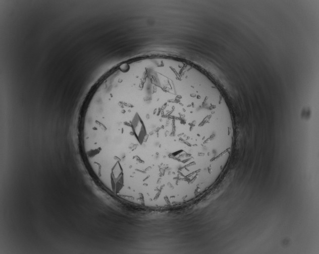 X0000102861038200809081302