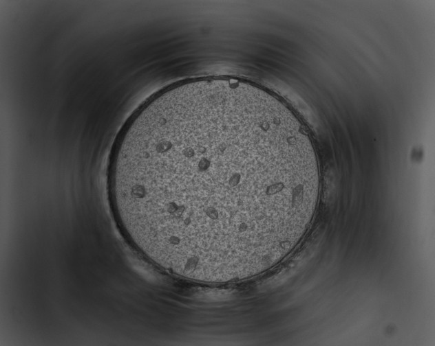 X0000102861039200809081302