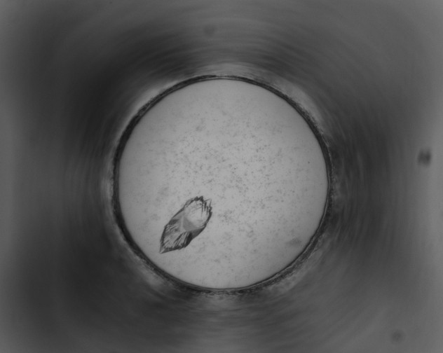 X0000102861040200809081302