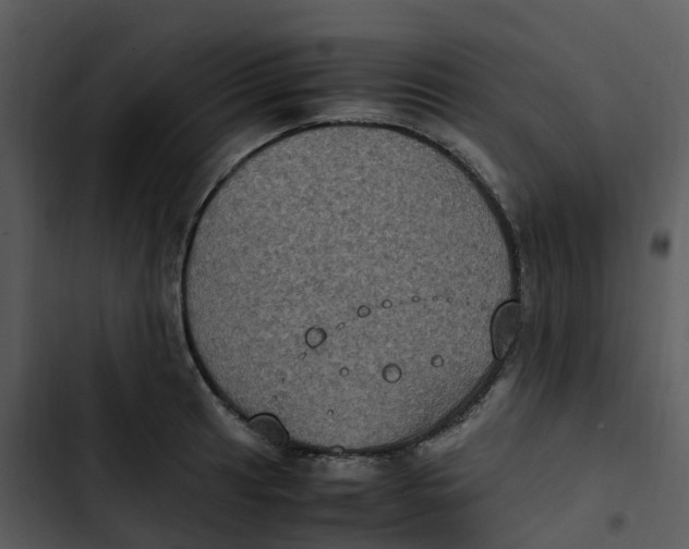 X0000102861041200809081302