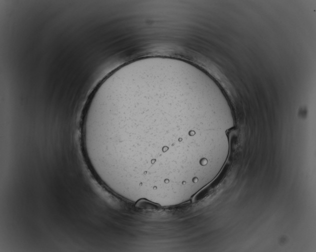 X0000102861042200809081302