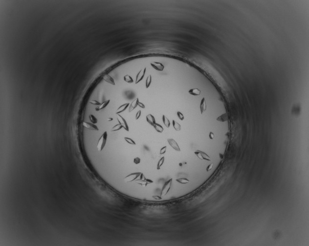 X0000102861043200809081302