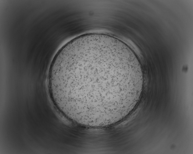 X0000102861044200809081302