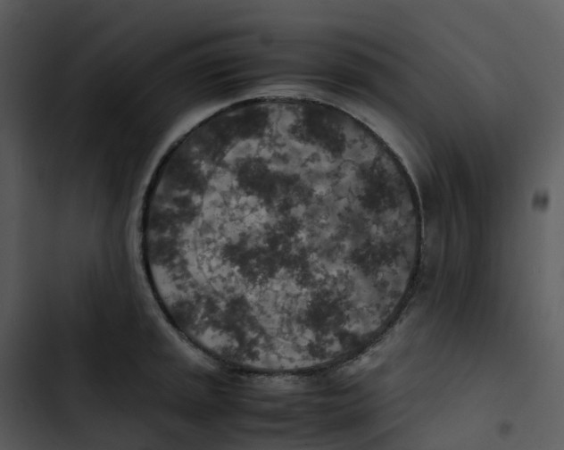 X0000102861045200809081302