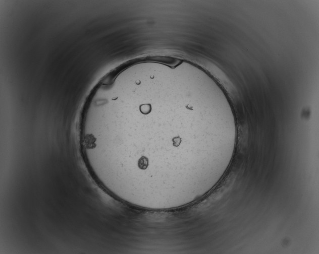 X0000102861046200809081302