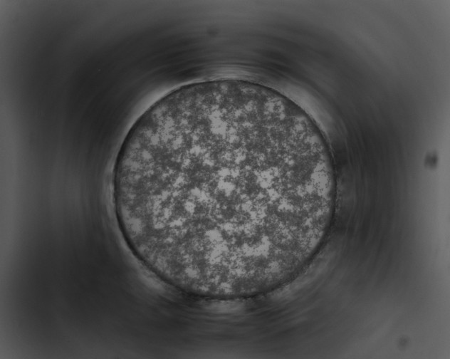 X0000102861047200809081302