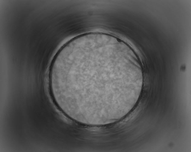 X0000102861048200809081302