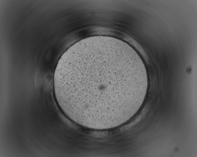 X0000102861049200809081302