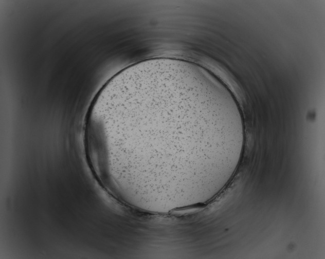 X0000102861050200809081302