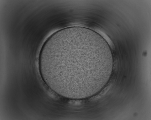 X0000102861051200809081302