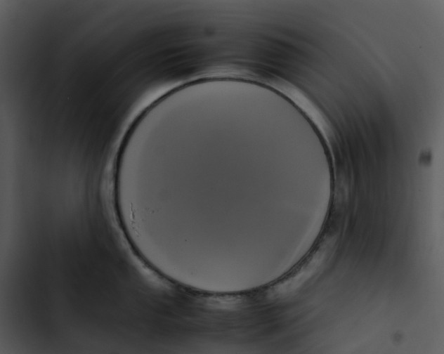 X0000102861053200809081302