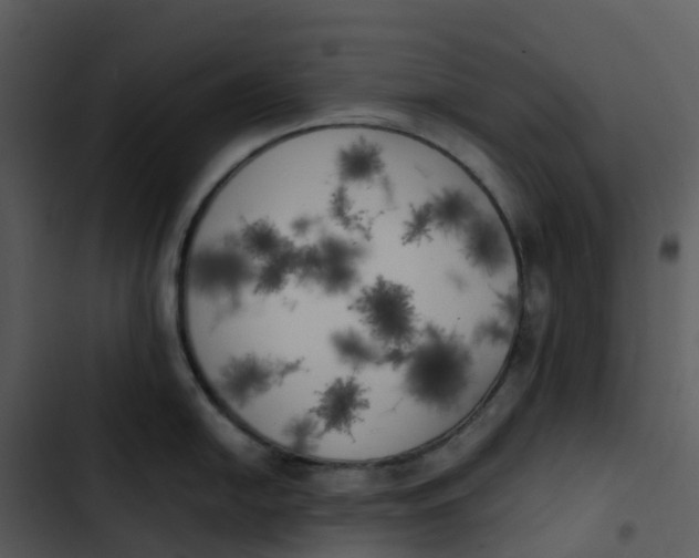 X0000102861054200809081302