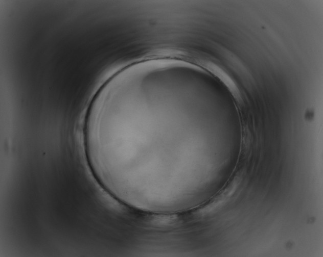 X0000102861055200809081302