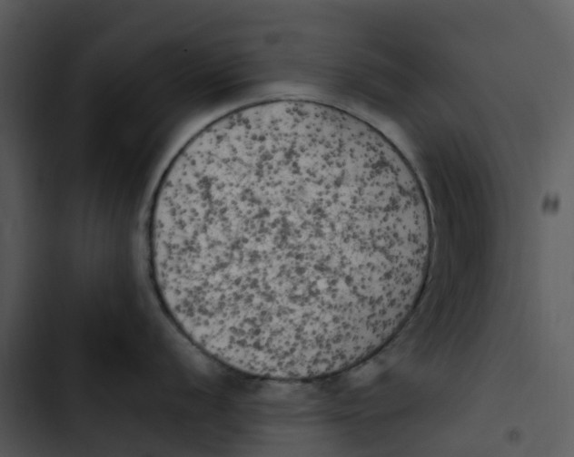 X0000102861056200809081302