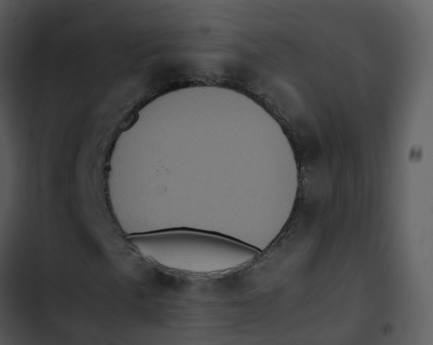 X0000102861057200809081301