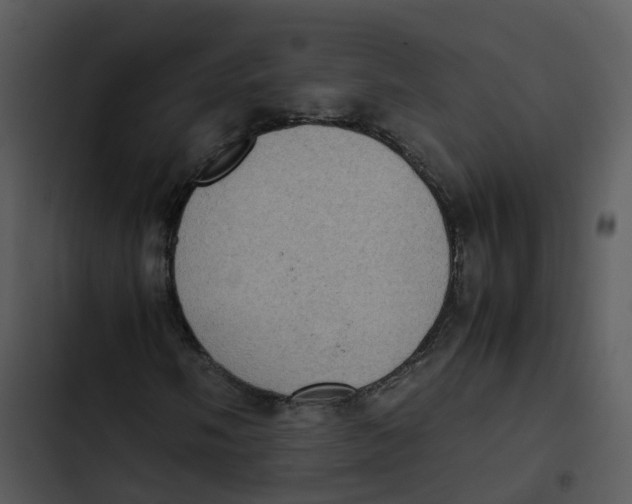 X0000102861058200809081301