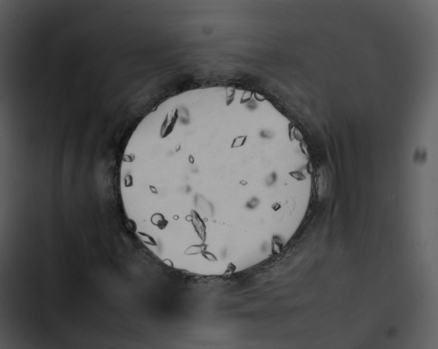 X0000102861059200809081301