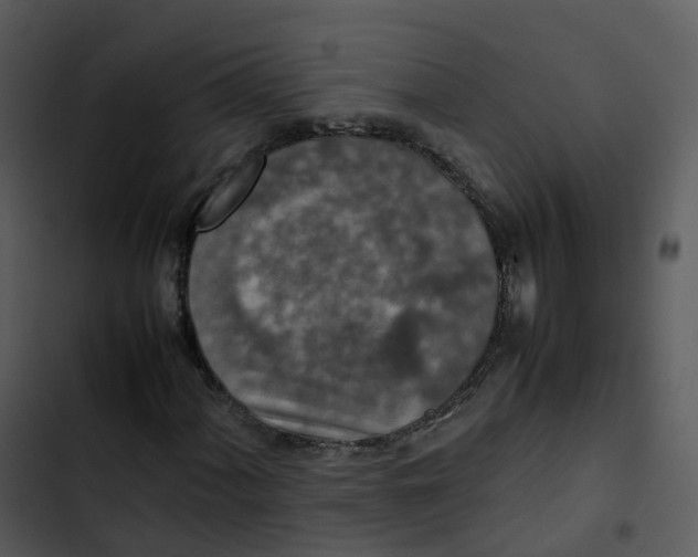 X0000102861060200809081301