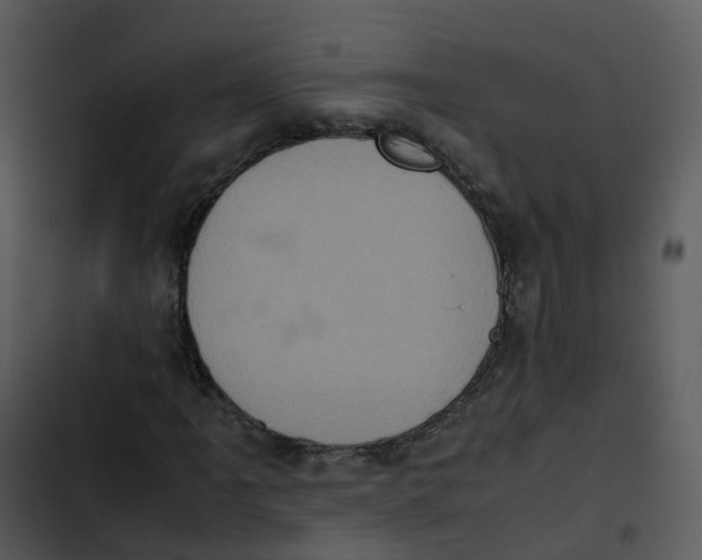 X0000102861061200809081301