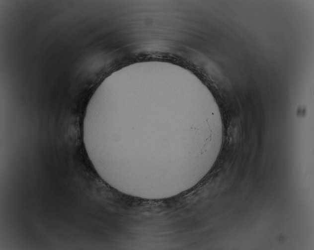 X0000102861062200809081301