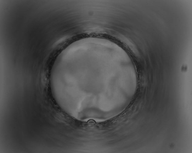 X0000102861063200809081301