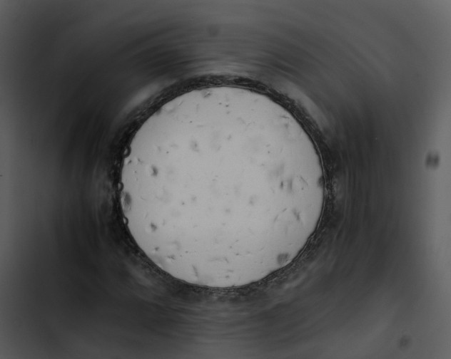 X0000102861064200809081301