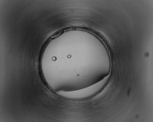 X0000102861065200809081301