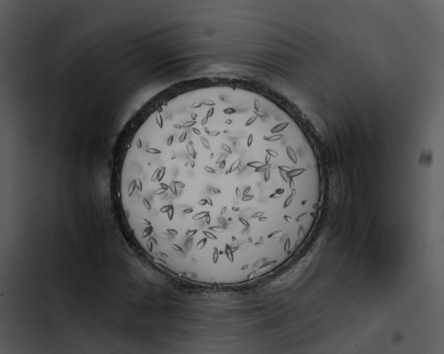 X0000102861066200809081301