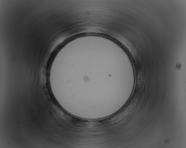 X0000102861067200809081301