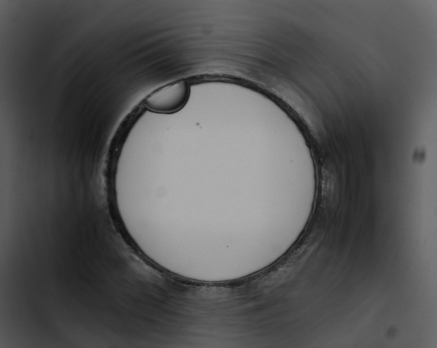 X0000102861068200809081301