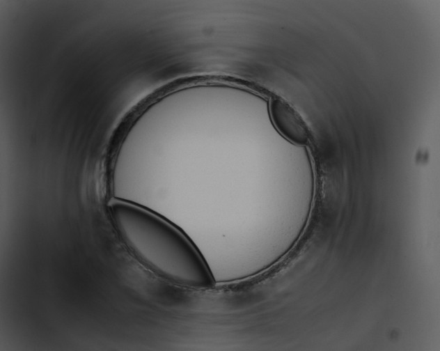 X0000102861069200809081301