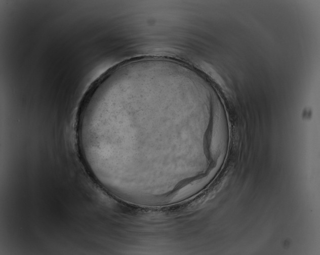 X0000102861071200809081301