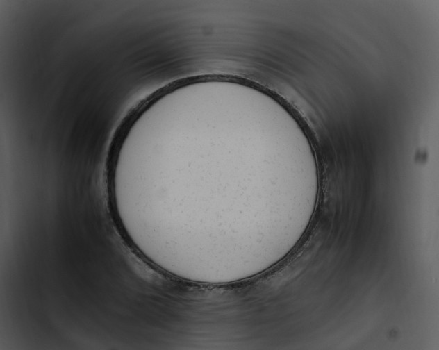 X0000102861072200809081301