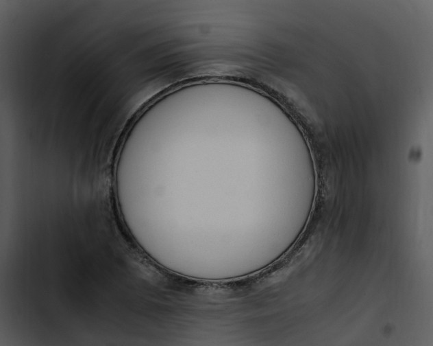 X0000102861073200809081301