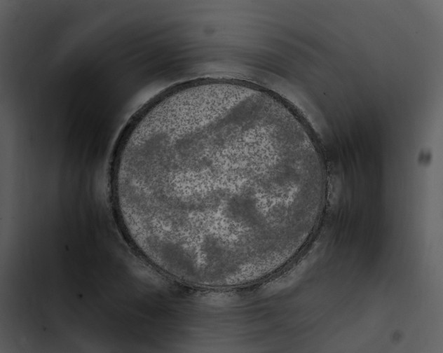 X0000102861074200809081301