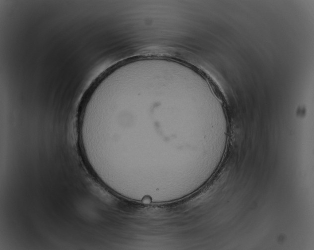 X0000102861075200809081301