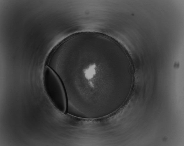 X0000102861077200809081301