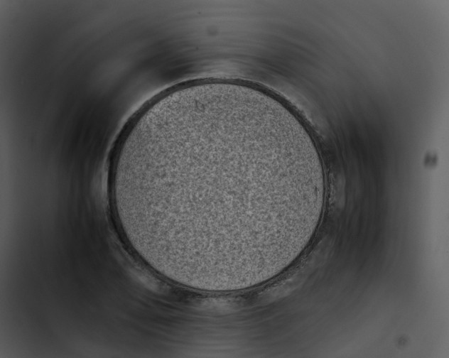 X0000102861078200809081301