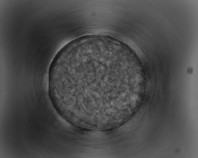 X0000102861079200809081301