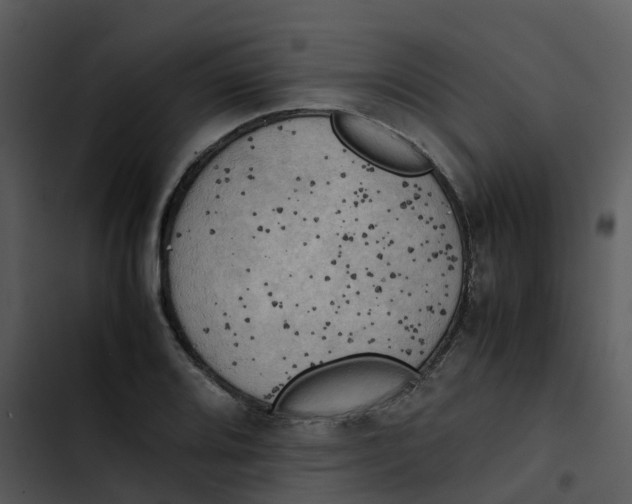 X0000102861080200809081301