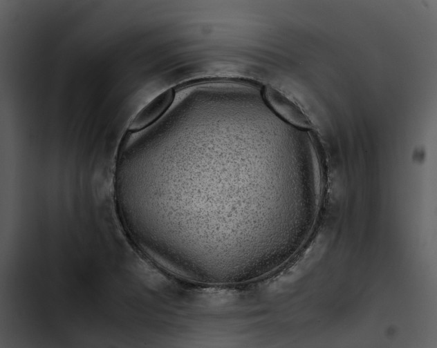 X0000102861081200809081301