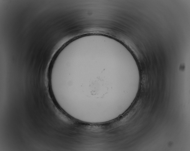 X0000102861082200809081301