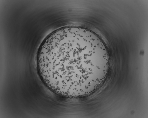 X0000102861083200809081301