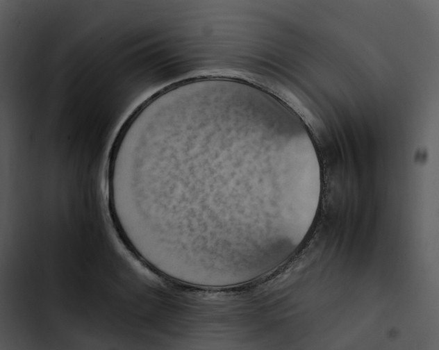 X0000102861084200809081301