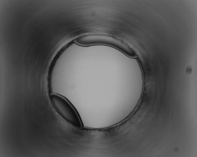 X0000102861085200809081301