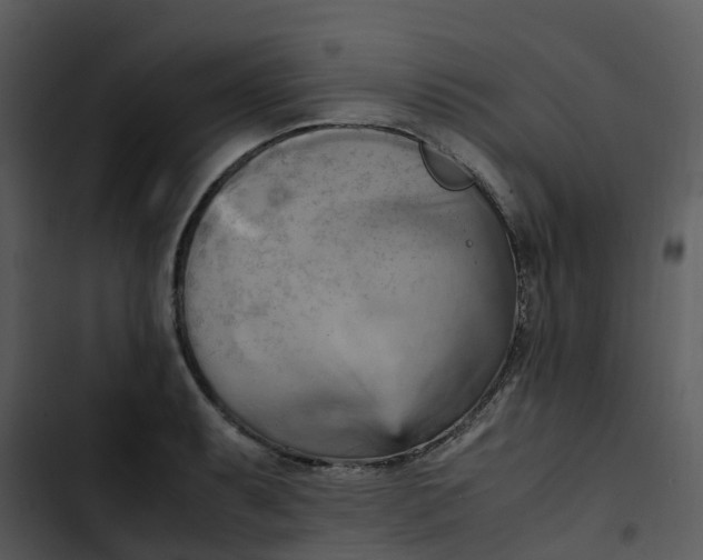 X0000102861087200809081301