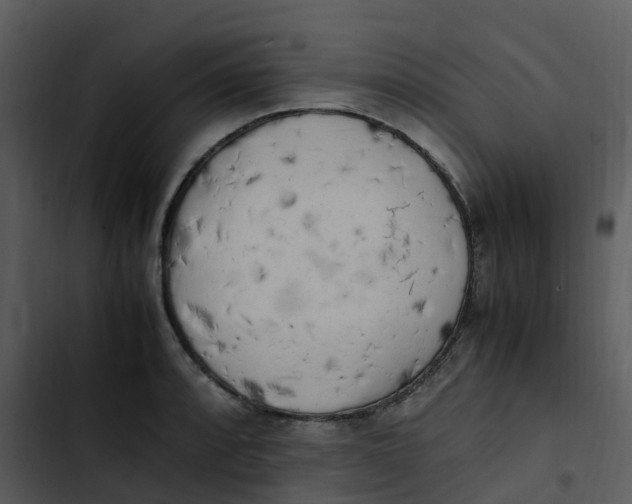 X0000102861088200809081301