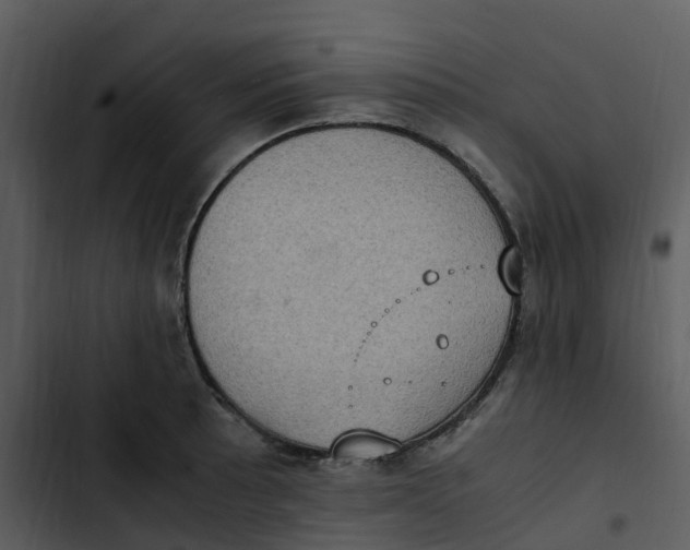 X0000102861089200809081301