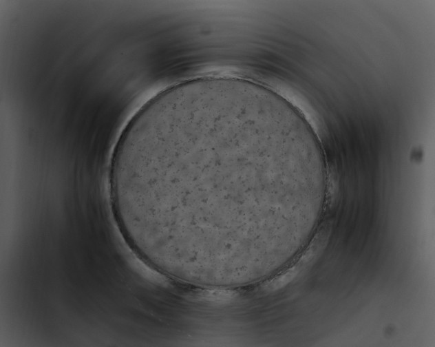 X0000102861090200809081301