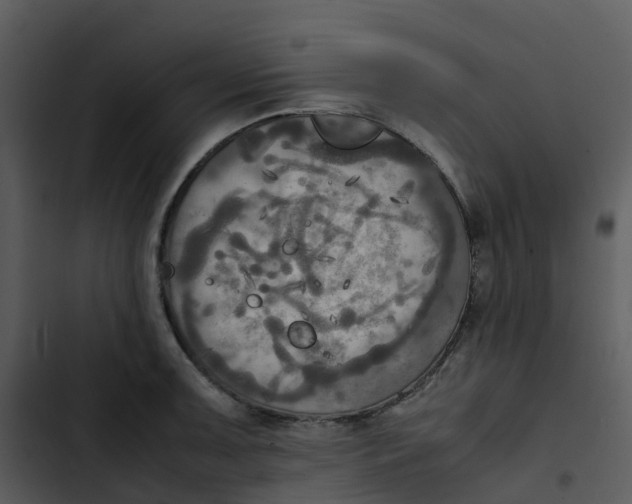 X0000102861091200809081301